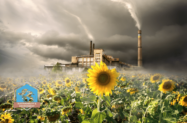 Environmental Impact Assessment Specialist - Certification